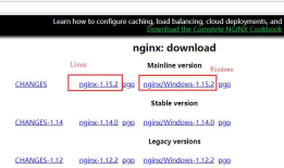 Nginx Windows详细教程