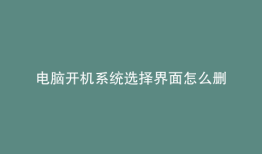 电脑开机系统选择界面怎么删