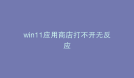 win11应用商店打不开无反应