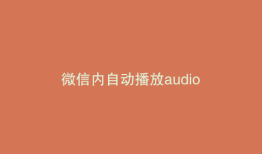 微信内自动播放audio