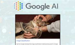 基于Windows 机器学习(Machine Learning)的图像分类(Image classification)实现