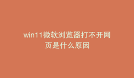 win11微软浏览器打不开网页是什么原因