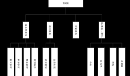 背单词app评估测试