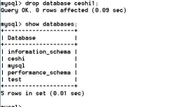 mysql数据库的概念及入门语句