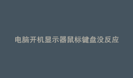 电脑开机显示器鼠标键盘没反应