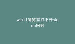 win11浏览器打不开sterm网站