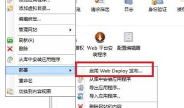 阿里云服务器Web Deploy配置和使用Visual Studio进行Web项目发布部署遇到的坑