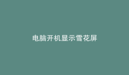 电脑开机显示雪花屏
