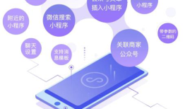 LTD营销SaaS-小程序方案