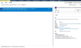 .net core读取appsettings.json配置