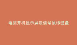 电脑开机显示屏没信号鼠标键盘没电