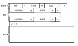初识网络协议：HTTP和HTTPS