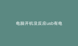 电脑开机没反应usb有电