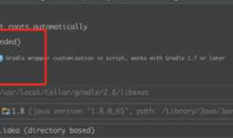 多个 gradle 文件夹 \.gradle\wrapper\dists\ 设置gradle不是每次都下载
