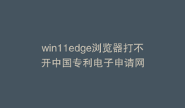 win11edge浏览器打不开中国专利电子申请网