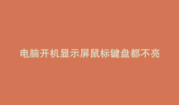 电脑开机显示屏鼠标键盘都不亮