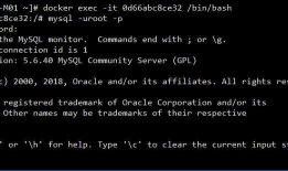 docker stack 部署mysql 5.6