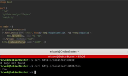 Go Pentester - HTTP Servers(2)