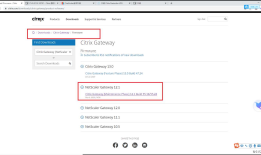 Citrix ADC（原NetScaler）CVE-2019-19781漏洞修复