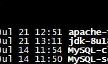 通过cmd启动mysql