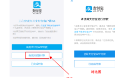 支付宝手机h5网页支付不再提供「继续浏览器付款」按钮了吗