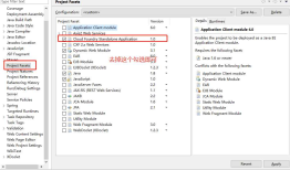 Project facet Cloud Foundry Standalone Application version 1.0 is not supported