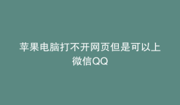 苹果电脑打不开网页但是可以上微信QQ