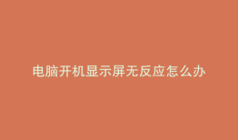 电脑开机显示屏无反应怎么办