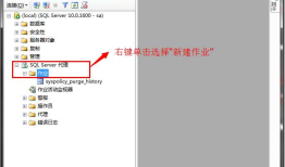 使用SQL Server Management Studio 创建数据库备份作业
