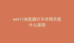 win11浏览器打不开网页是什么原因