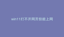 win11打不开网页但能上网