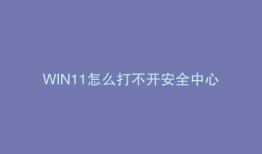 WIN11怎么打不开安全中心
