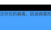 关于 Android 测量文字宽度的方法