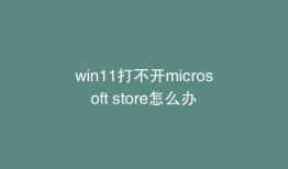 win11打不开microsoft store怎么办