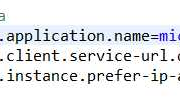 eureka ... is an unknown property 在 application.properties 中