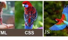 Web_HTML
