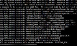 启动hadoop集群的时候只能启动一个namenode，另一个报错There appears to be a gap in the edit log. We expected txid 6, but got txid 10.