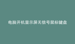 电脑开机显示屏无信号鼠标键盘也不亮
