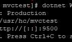VS2017发布"dotNet core mvc"到CentOS8