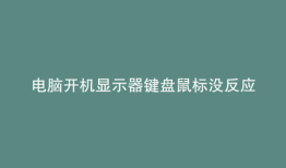 电脑开机显示器键盘鼠标没反应