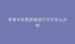苹果手机更新微信打不开怎么办呀