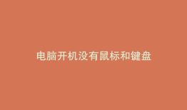 电脑开机没有鼠标和键盘