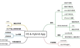 移动端开发必会出现的问题和解决方案