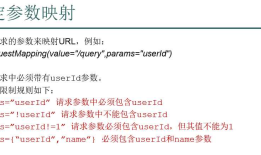 @RequestMapping-限定参数映射