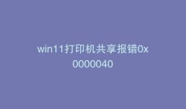 win11打印机共享报错0x0000040