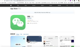 通过接口指定appstore 的应用id获取Bundleid