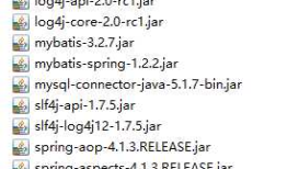 Mybatis中Mapper代理形式开发与spring整合