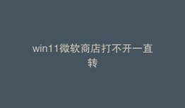 win11微软商店打不开一直转