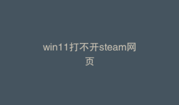 win11打不开steam网页