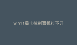 win11显卡控制面板打不开